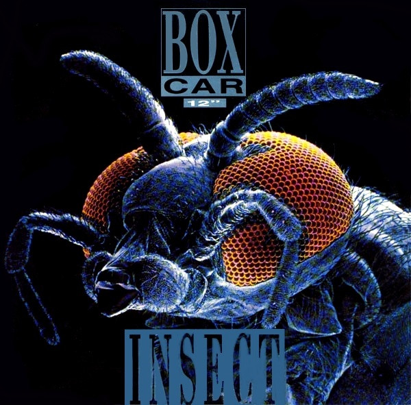 Boxcar - Insect tweedehands house LP bij Run4Records