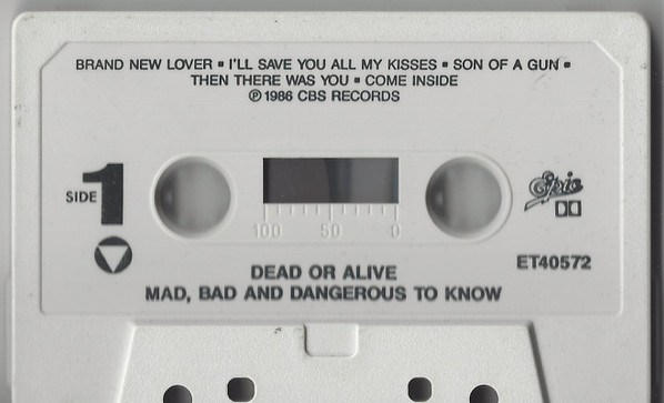 Dead Or Alive - Mad, Bad And Dangerous To Know tweedehands cassette LP bij Run4Records