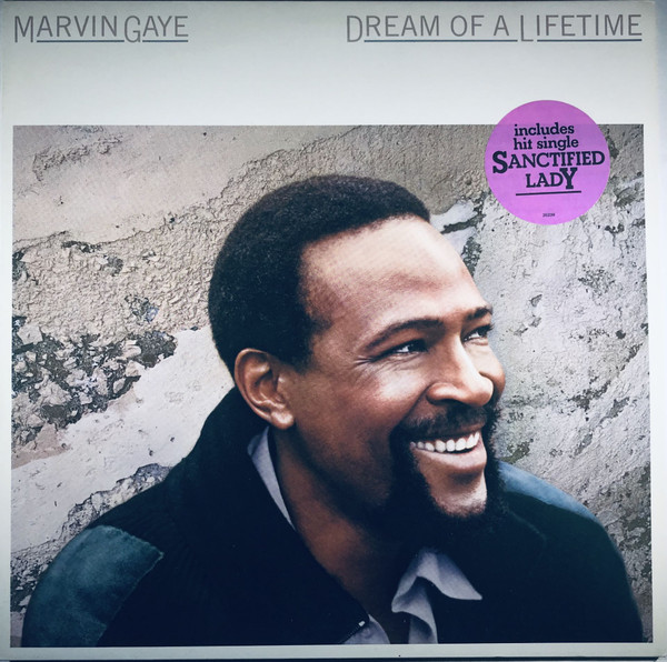 Marvin Gaye - Dream Of A Lifetime tweedehands soul LP bij Run4Records