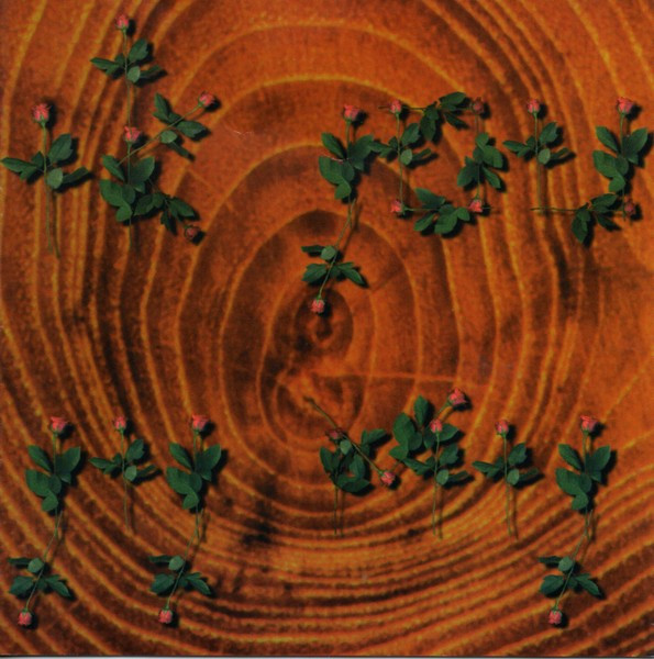 Van Dik Hout - Ik Jou & Jij Mij tweedehands pop LP bij Run4Records