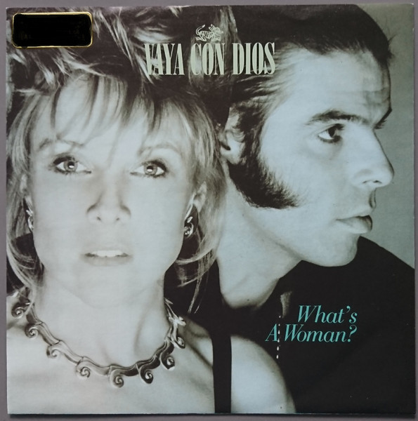 Vaya Con Dios - What's A Woman? tweedehands 7 inch LP bij Run4Records