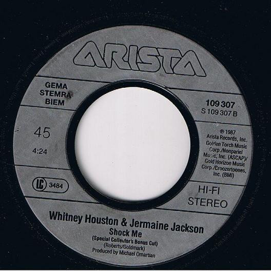 Whitney Houston - Didn't We Almost Have It All tweedehands 7 inch LP bij Run4Records