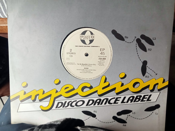 Divine - I'm So Beautiful tweedehands disco LP bij Run4Records