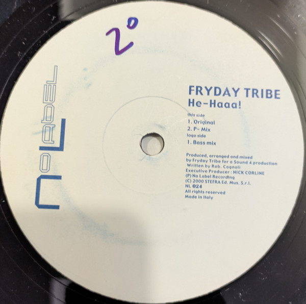 Fryday Tribe - He-Haaa! tweedehands house LP bij Run4Records